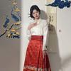 Chinese Ming Dynasty Style Daily Commuting Women's Suit