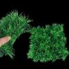 For Fish Tank Decoration Fine Pine Needle Artificial Water Grass Grass Plant Lawn Aquatic Plants