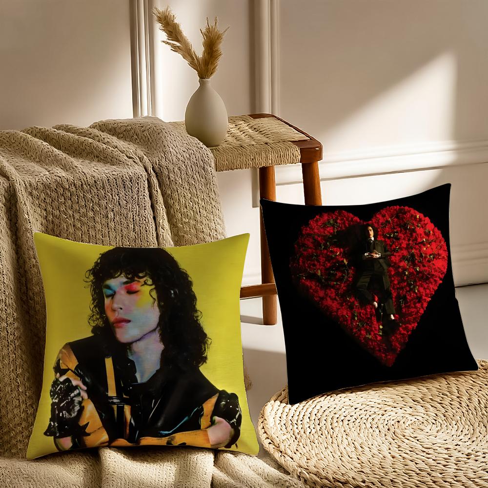 Singer C-Conan G-Gray Found Heaven Cushion Cover Pillowcase Anti-Dustmite Living Room Sofa Decor Cushion Room