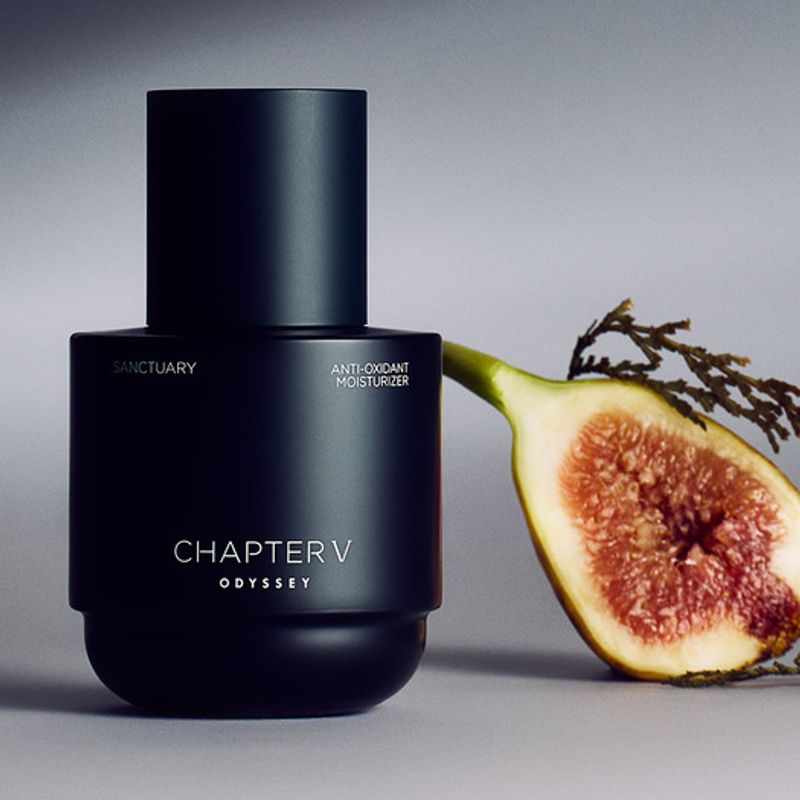 Глава Пять Антиоксидантный Увлажняющий Крем 110 мл [Sanctuary]