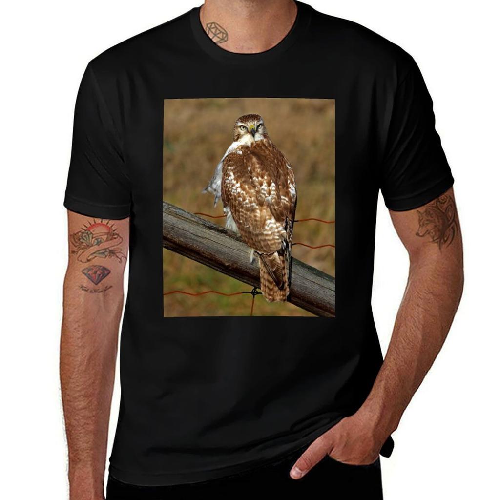 Redtailed Hawk On Fence Tshirt Gym Wear Breathable Short Sleeve Tee Tshirt