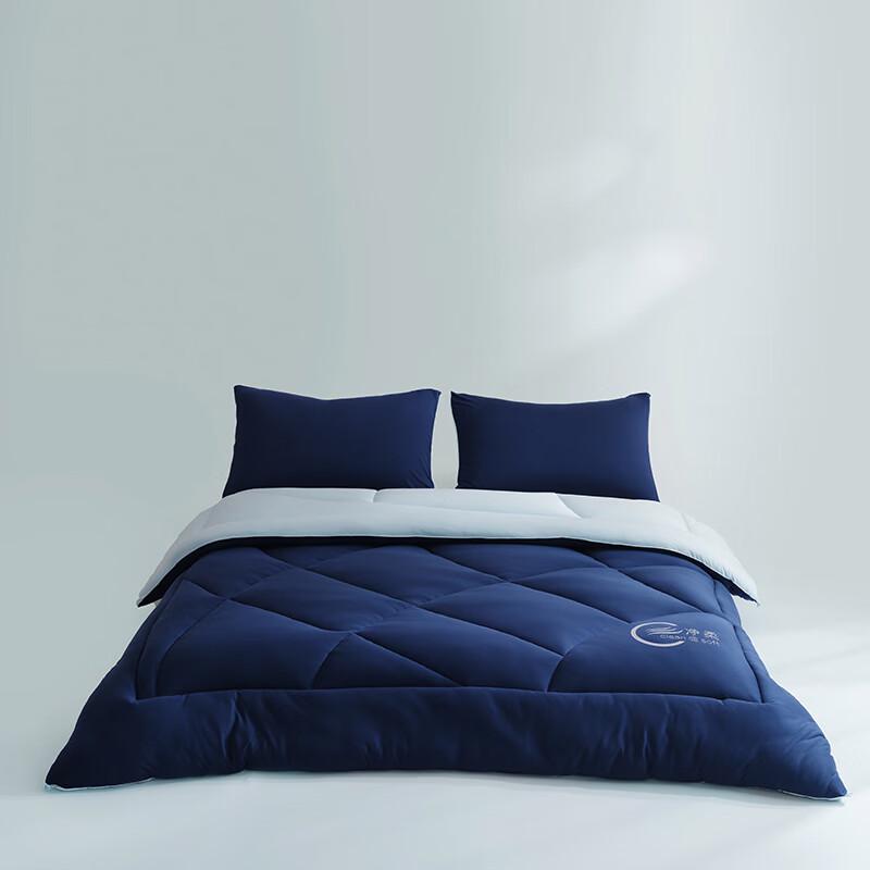 Qisefang 7A Antibacterial Winter Duvet