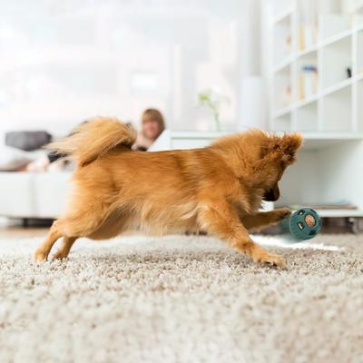 Dog Food Toy Can Be Reused Easy To Clean Natural Rubber Durable Ball Simple Durable Silicone Mold Dog Supplies