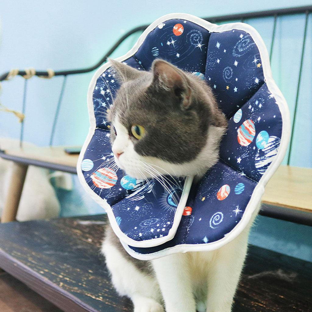 , Katzenkragen Elisabethanischer Schutzkragen für Wunden, Speziell für Katzen entwickelt - Leicht zu fressen