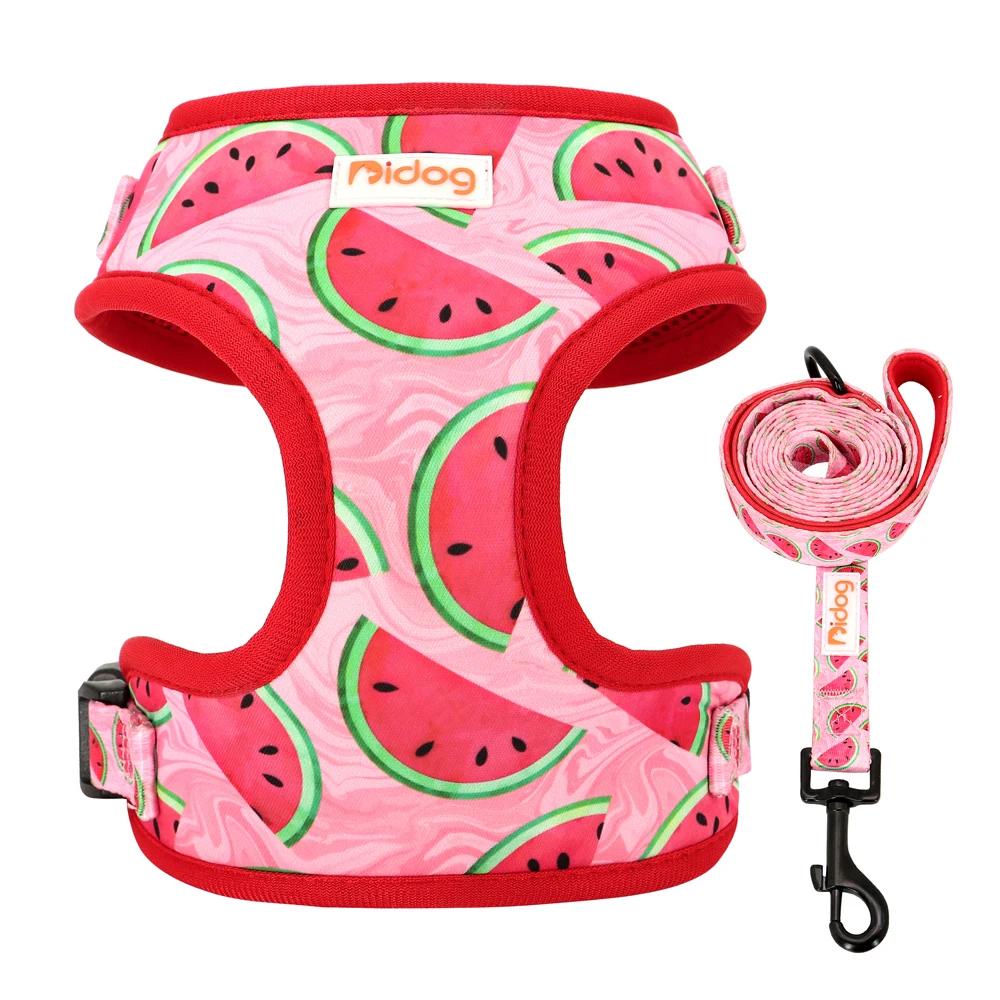 

Adjustable Floral Print Dog Harness Leash Set for Small Medium Dogs, Breathable No Pull Pet Vest for Outdoor Walking XS