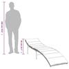 VidaXL Lot de 2 Chaises Longues avec Table, Bain de Soleil, Transat de Terrasse, Siège de Jardin Patio Extérieur, Gris 368253