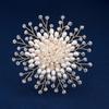 Atmospheric Pearl Brooch High-End Women'S Exquisite Handmade Corsage Niche Design Sense Pin Personalized Blazer Accessories