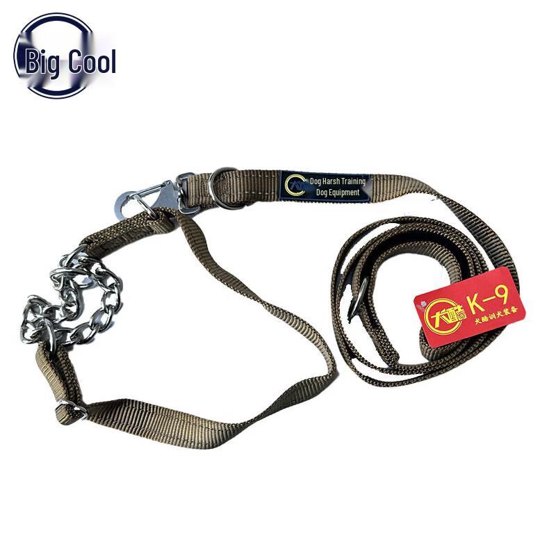 Durable Dog Leash and Harness Set