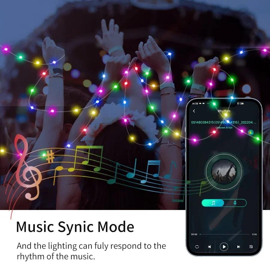 WS2812B RGBIC LED String Lights Garland Bluetooth 5V USB Music Dream Color Fairy Lights Christmas Birthday Wedding Party Decor