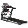 Auberson Folding Indoor Treadmill