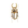 Golden Insect Mirror Insect Beetle Resin Handicraft Mirror Pendant Wall Decoration Mirror Wall Hanging Centipede Room Decor