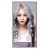 KYOGOKU IROME Hair 24 Gray Salon Partial Dye 1-Pack Color, Colors, Dye, Quasi-drug, Hypoallergenic, Exclusive, Self-Color, (Platinum Silver)