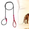 Dog Leash for Active Medium To Large Pets