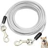 Cães – Colares e correias para cães