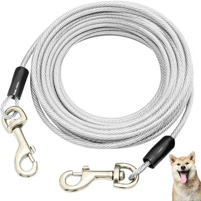 Perros – Collares y correas