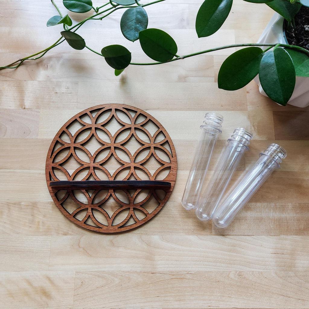 Cross-Border Round Solid Wood Plant Storage Rack – Simple Wall-Mounted Test Tube Wooden Decor for Bedroom.