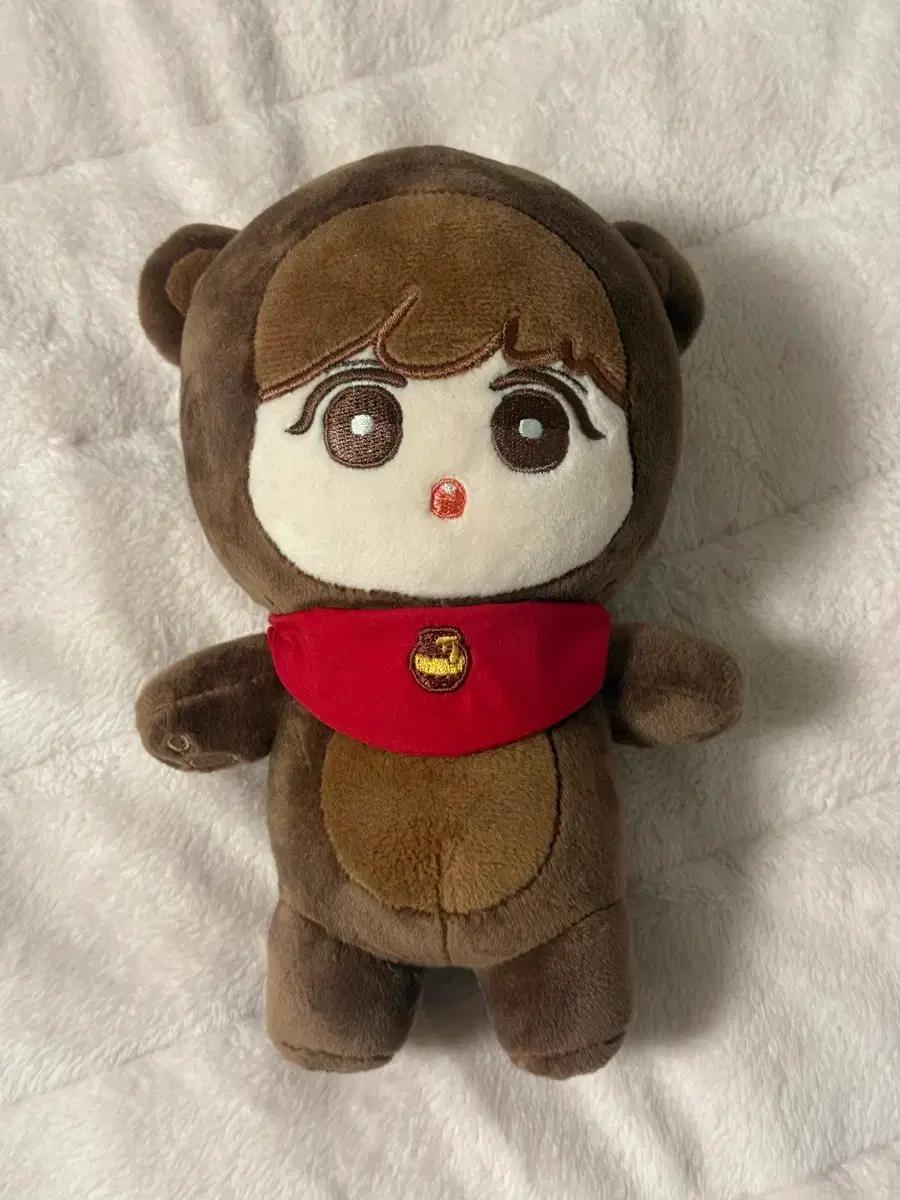 

Park Ji Hoon Doll Used