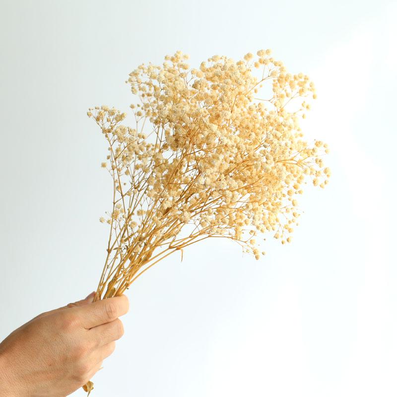 Yunnan Dried & Immortal Flowers Bouquet: Baby's Breath, Roses, Forget-Me-Nots for Home & Homestay Decor