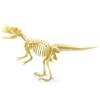 7Pcs/Set  Dinosaur Model Creative Collectible Detailed Archeological Dinosaur Skeleton Toy for Child
