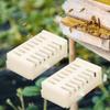 10/30pcs Beekeeping Queen Bee Rearing Cage Extension Bees Tools Anti Escape Cages Cup Plastic Cell Supplies Apiculture Equipment