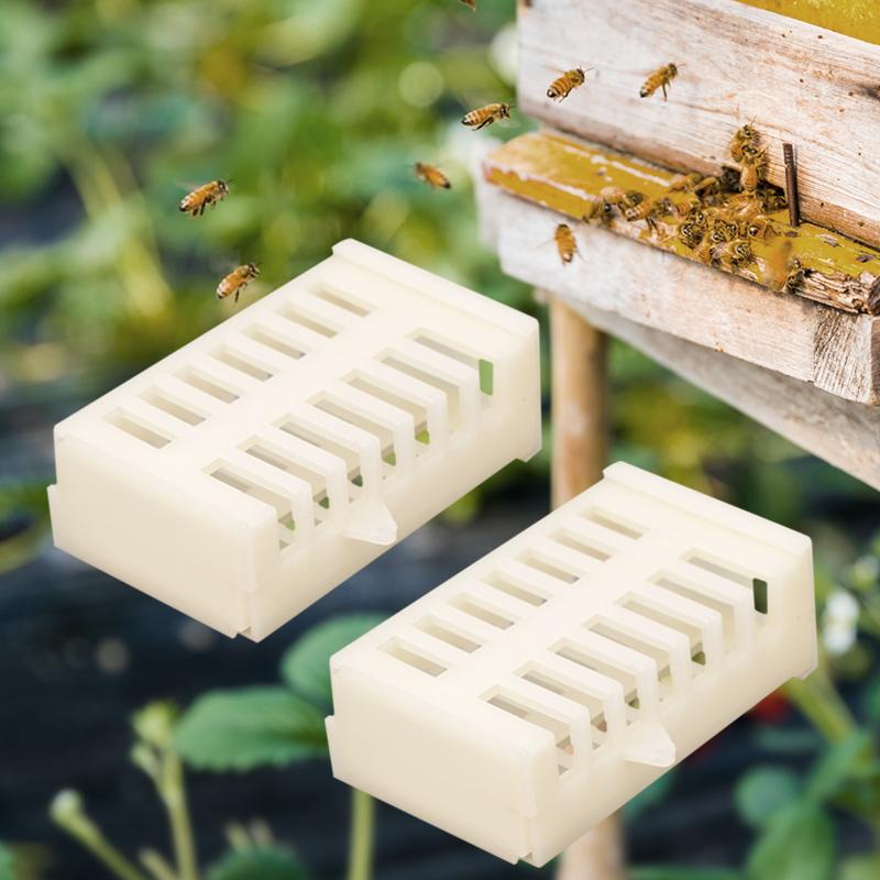 10/30pcs Beekeeping Queen Bee Rearing Cage Extension Bees Tools Anti Escape Cages Cup Plastic Cell Supplies Apiculture Equipment
