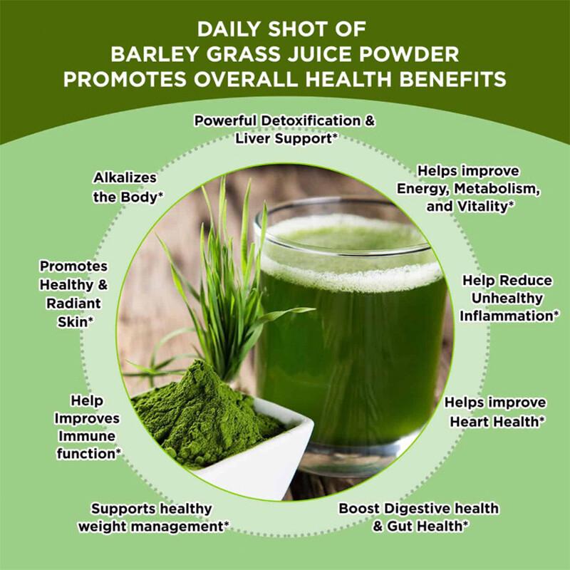 Barley Grass Powder 100% Pure Organic Organic Barley Grass Powder Pure Barley