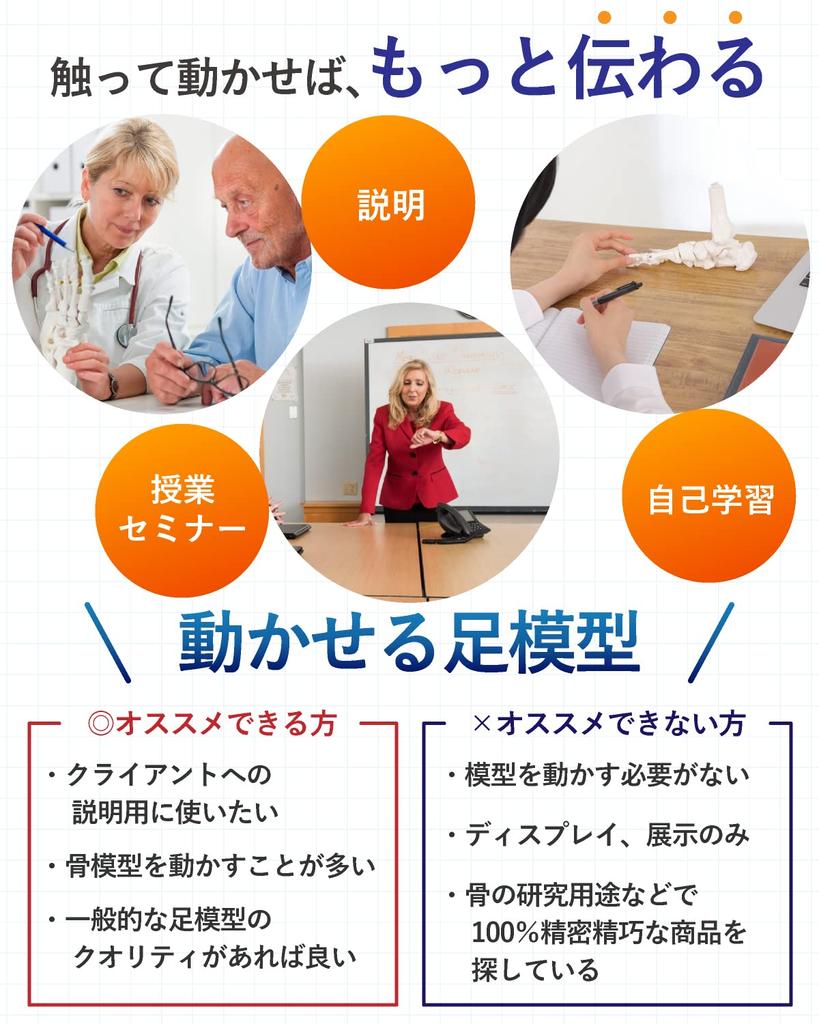 KIYOMARU Foot Model with Extendable Legs and Fully Movable Supervised by a Physical Human Anatomy Skeleton Ankle Joint and Bone Extendable Right with