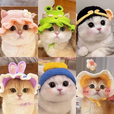 Chapéu de Cabeça para Animal de Estimação Gato Cachorro Chapéu de Tricô Adereços Cabeça Engraçado Roupa de Transformação Atacado Chapéu de Cabeça de Muda de Flor Pequena