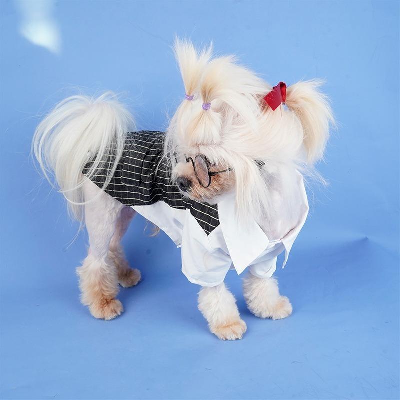 Pet dog student suit pet clothes couple dress skirt suit striped spring and summer cat dog little teddy