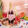 Raspberry Flavored Sparkling Kombucha