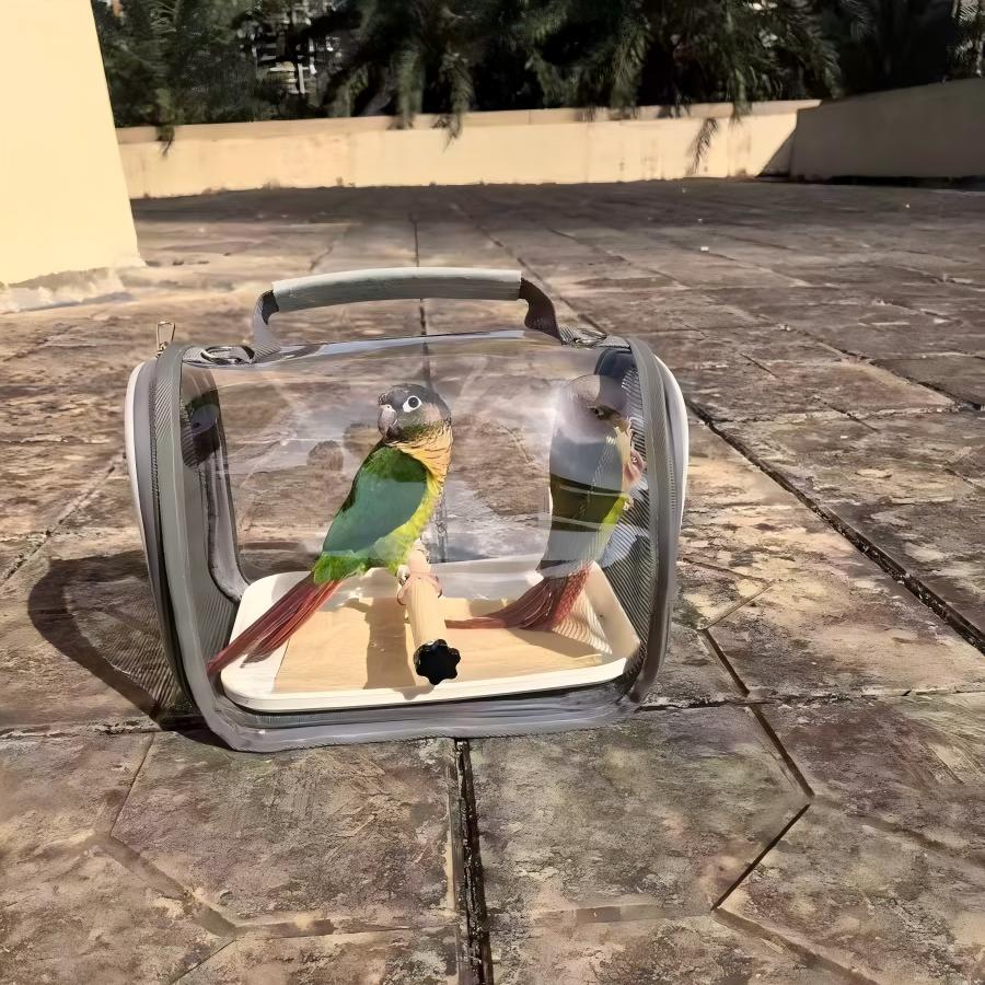 Kangdarpet Transparent Pet Bird Bag with Station Stick - for Parrots & Lizards, With Lizard Enclosure, for Outgoing & Travel