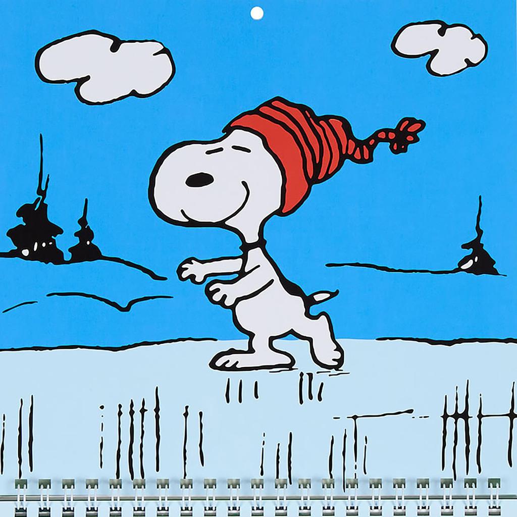 Sanrio Wall Calendar Medium 2026 Snoopy Paper Wall Hanging 622508