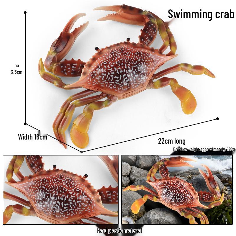 Large Marine Life Simulation Model: Crab, Hermit Crab, King Crab, Horseshoe Crab, Swimming Crab Aquarium Ornament Toy