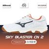 Mizuno Fabric Breathable Low top Badminton Shoes Unisex 71GA253110