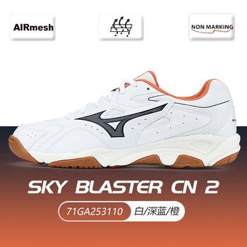 Mizuno Fabric Breathable Low top Badminton Shoes Unisex 71GA253110