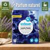 Lavender Color Detergent 1.01 Kg, Powder Detergent, Lavender