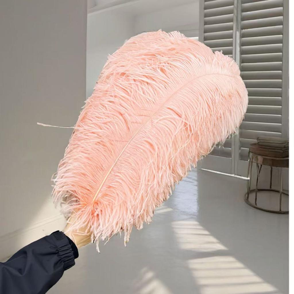 1pcs Ostrich Hair 65-70Cm Photo Feather Wall Wedding Road Guide Decorative Props Colored Feathers