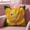 Cute N-Nailong Cushion Cover Multi-Scene Pillow Cover for Home & Car - Reversible, Soft & Durable for Daily Use