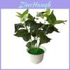 Planta de Vaso Pothos Evergreen Com Material Durável Para Decoração de Casamento e Uso Externo