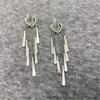 Long Fringed Earrings Niche Design New Light Luxury Stud Earrings Premium Earrings Women