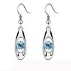 Fashion Crystal Drop Earring Oval Dangle Earrings Long Earrings Gift Jewelry