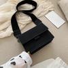 Small Bag For Women, Korean  Small Square Bag, Wide Shoulder Strap, Fashionable And Versatile Single Shoulder Crossbody Bag