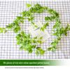 Rattan Pothos Artificial Leaf Vine for Indoor AC and Water Pipe Decoration