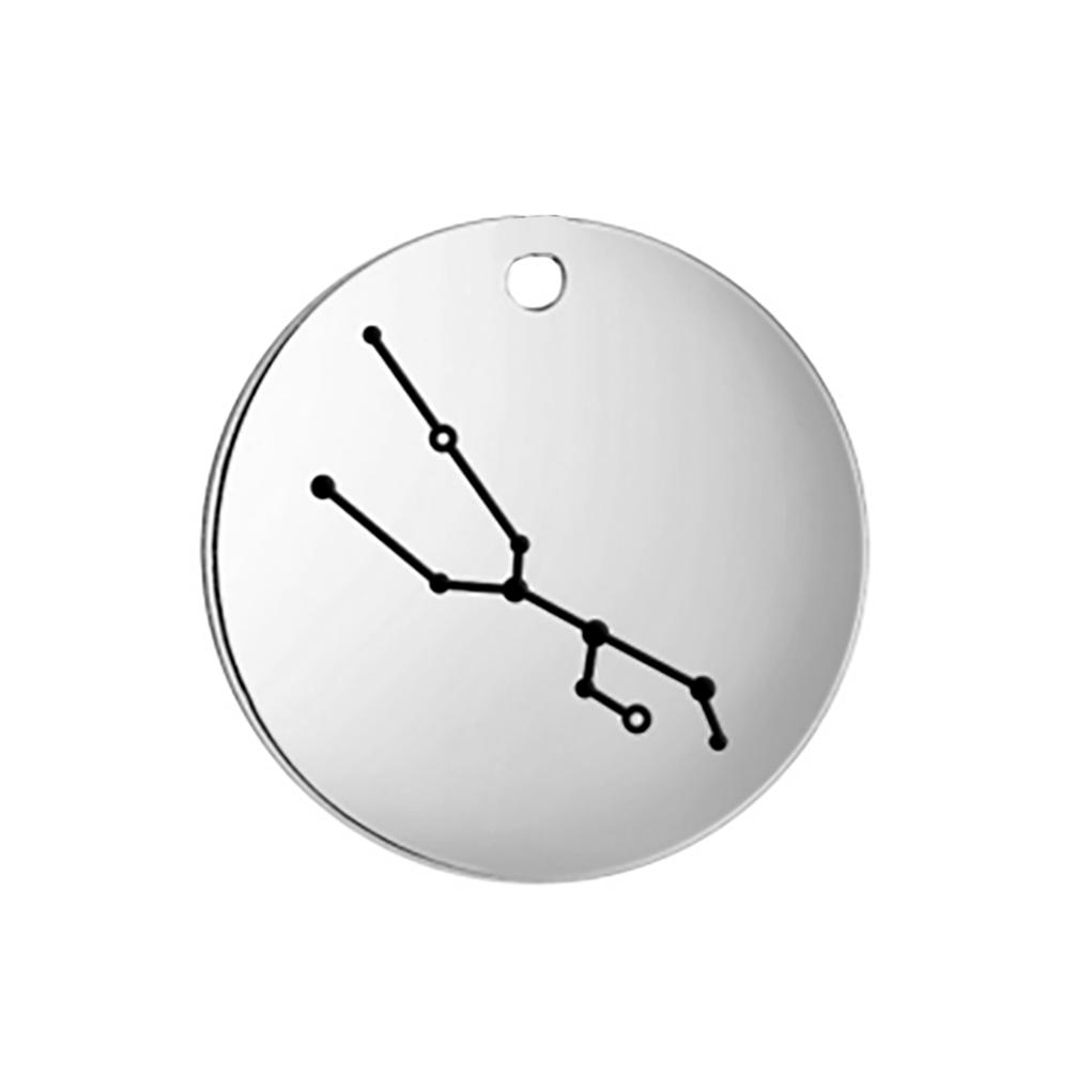 Stainless Steel Zodiac Charms for Jewelry Making Constellation DIY Pendants for Necklace Bracelet Keychain Earring