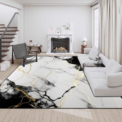 Luxury Modern Style Carpet for Living Room Big Size Coffee Tables Mat Home Decor Washable Rugs Non-slip Entrance Door Mats