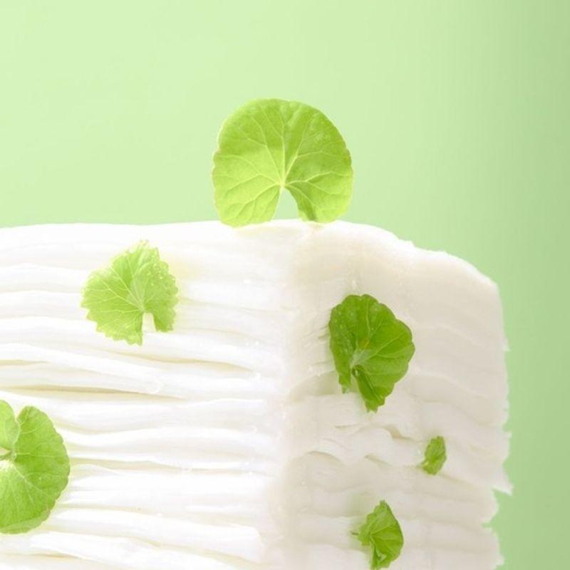 Real Centella Cica Watery Cleansing Tissue (100 Sheets)