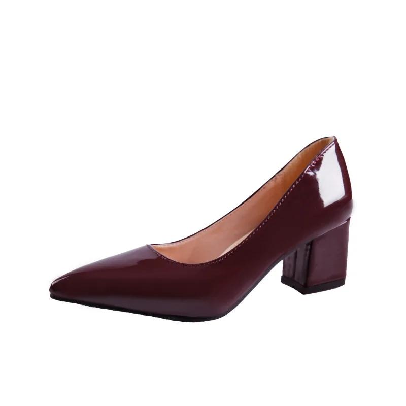 Fashion High-heeled Shoes Women 2024 Pointed Shallow Mouth Shoes Women's Thick-heeled Fashion Shoes Plus Size 43  Zapatos Para Mujer