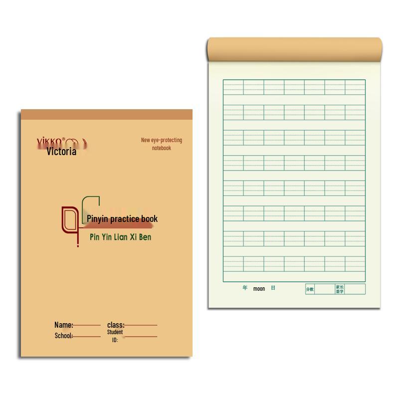 Dr. Doli Pinyin Practice Notebooks - 10 Pack