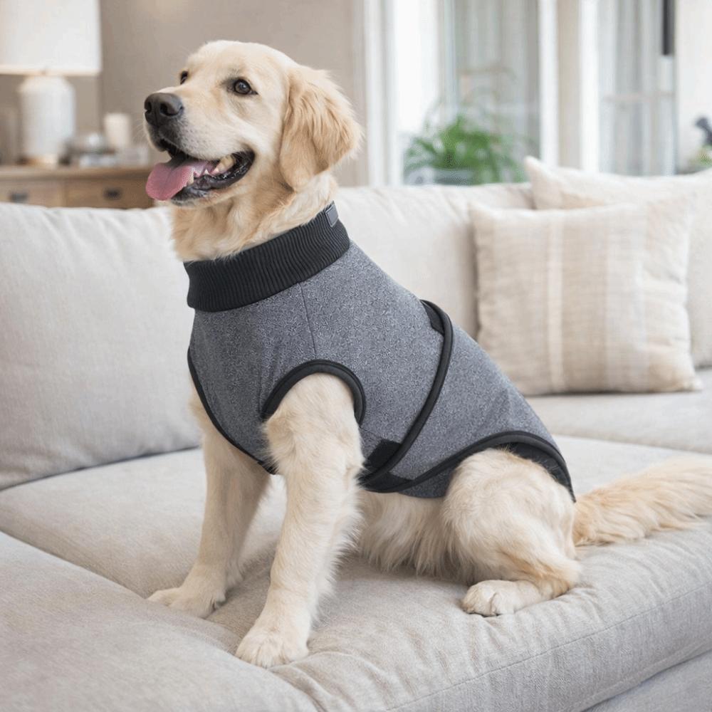 Breathable Dog Physiological Pants Elastic Pet Sterilization Suit  Weaning Period