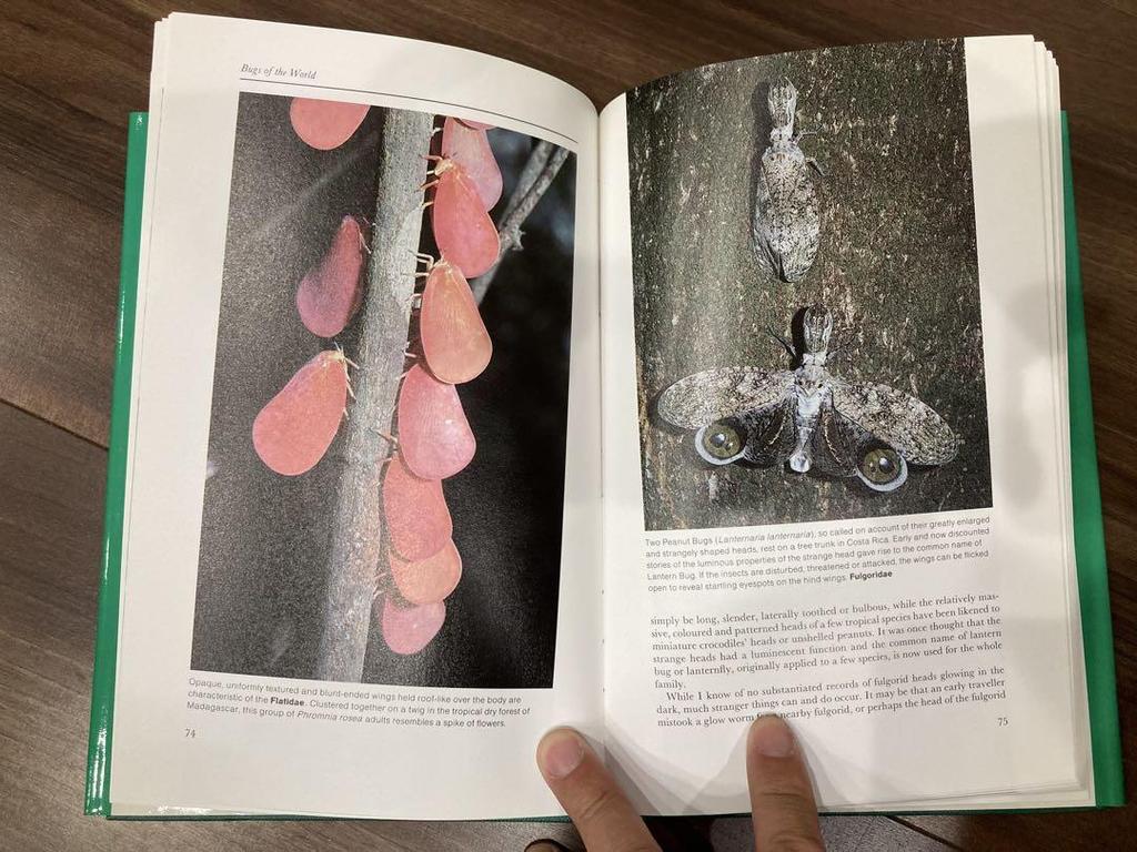 [USED] Bugs of the World Search for insect specimens